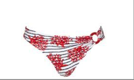 Coral Tree Hipster Bikini Bottom